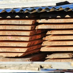 Knöpfel Holzbau :: Sägerei