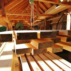 Knöpfel Holzbau :: Sägerei